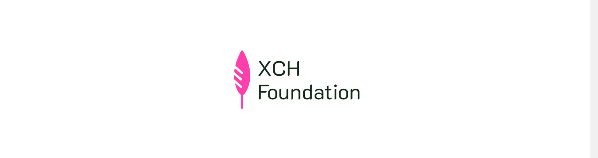 The XCH Foundation logo